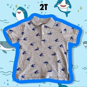 2T Polo